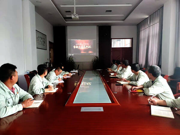 華浩軒公司黨總支召開紀(jì)律教育專題組織生活會