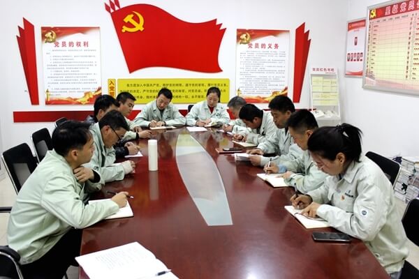 華浩軒公司黨總支組織召開黨史學習